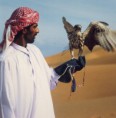 /album/photo-gallery/dubai-falcon-jpg/